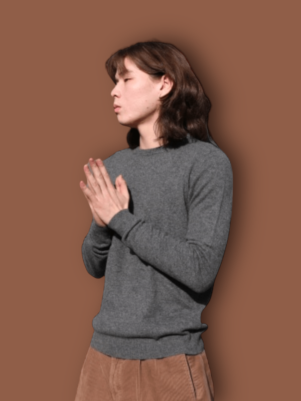 Men Crew neck sweater