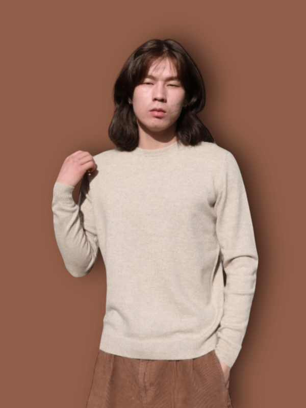 Men Crew neck sweater - Image 4