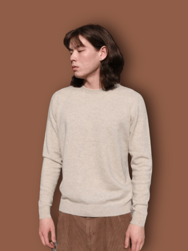Men Crew neck sweater - Image 3